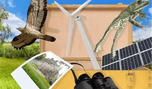 Collage van beelden met foto van een landgoed, een verrekijker, zonnepanelen, wespendief, windturbine en een springende kikker