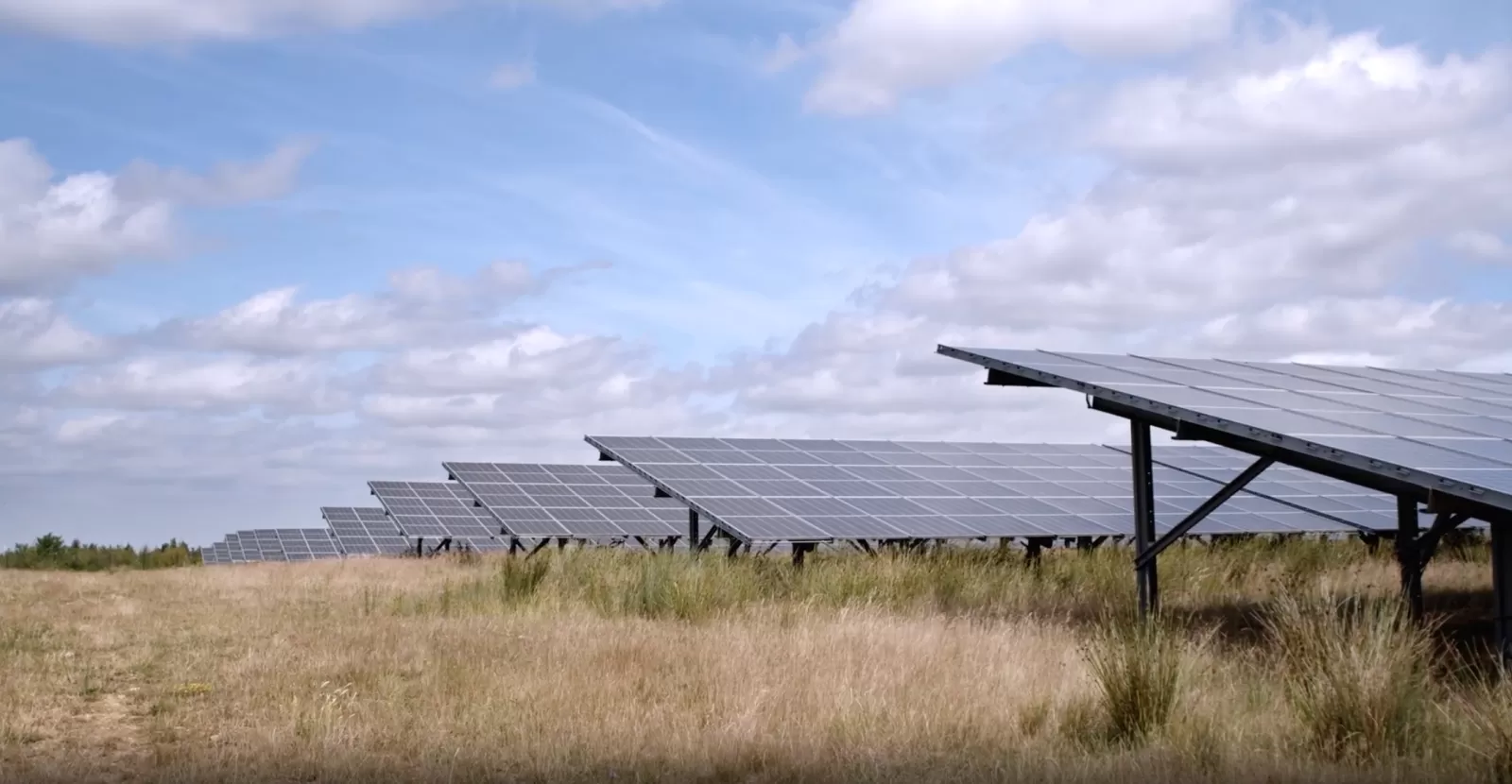 Noord-Limburgse innovatie rondom de inrichting van zonneparken in de natuur