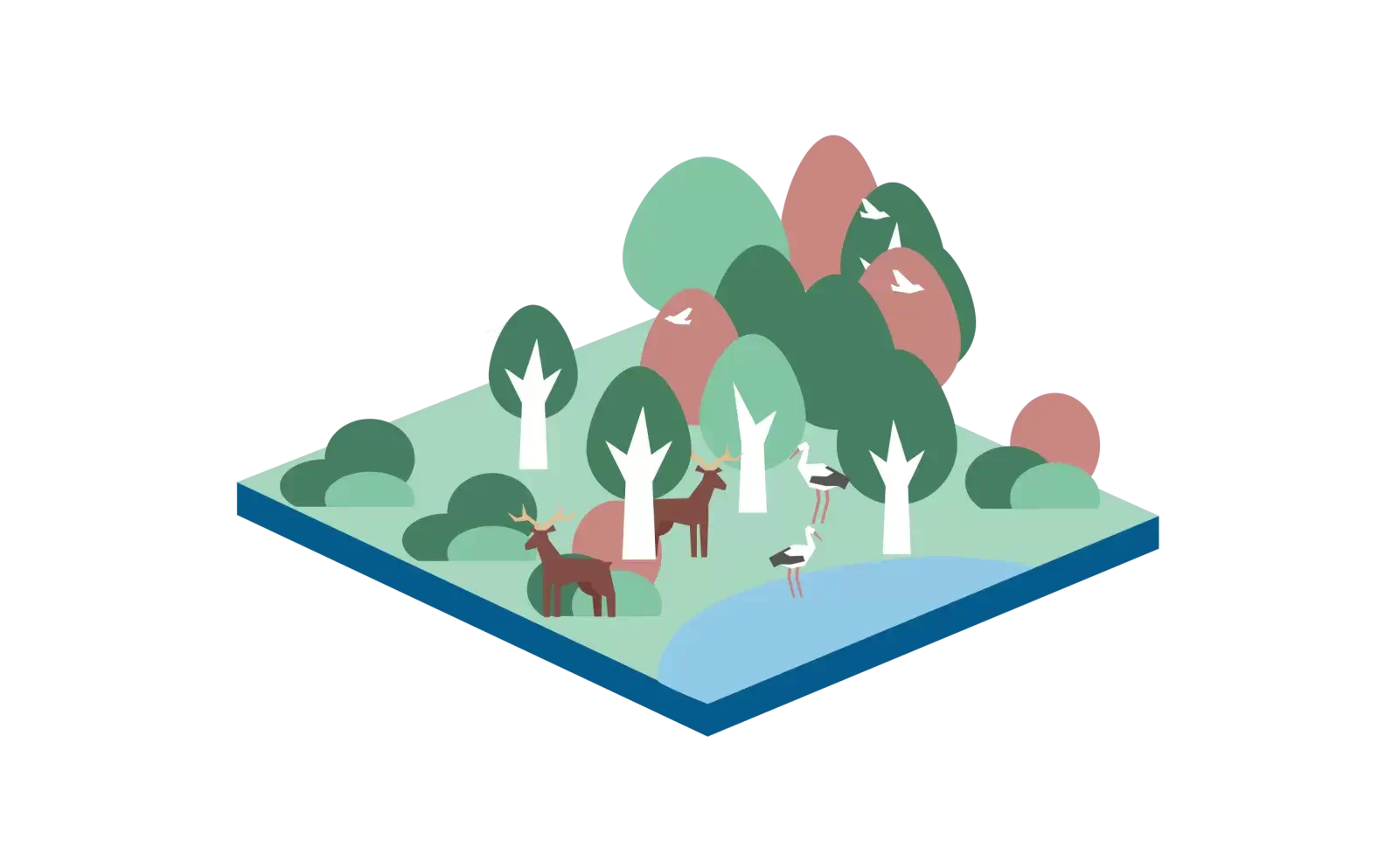 illustratie van natuurgebied